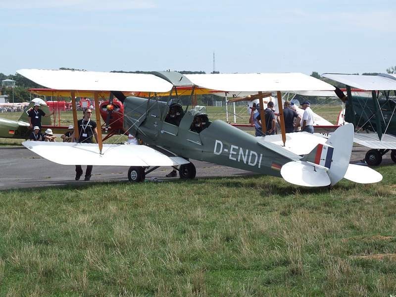 TigerMoth_b.jpg