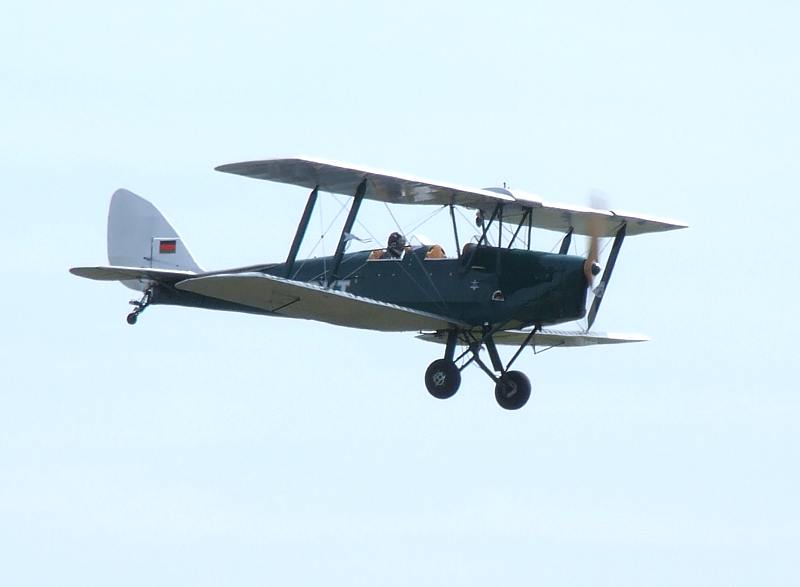 TigerMoth_d.jpg