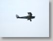 TigerMoth_a.jpg