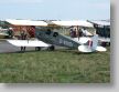 TigerMoth_b.jpg