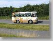 Klassikerfestival08_Busse_011.jpg