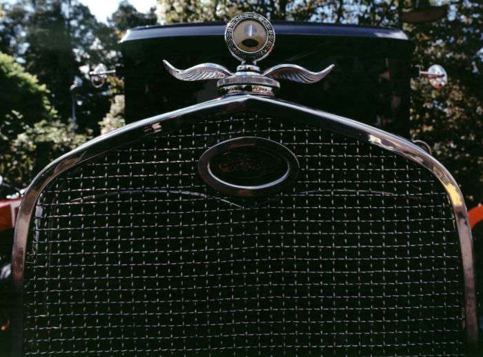 Detail von einem Ford