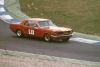 mustang_91.jpg