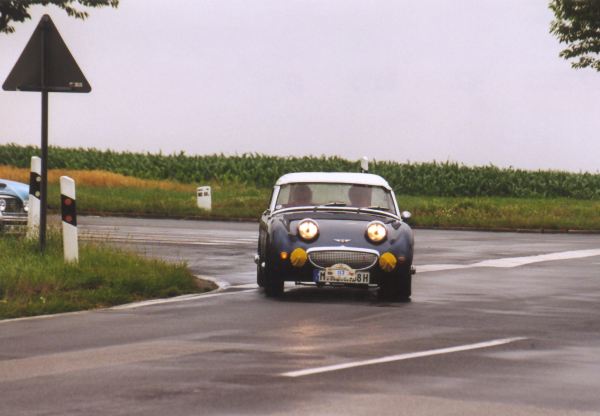 Austin Healey "Froschauge"