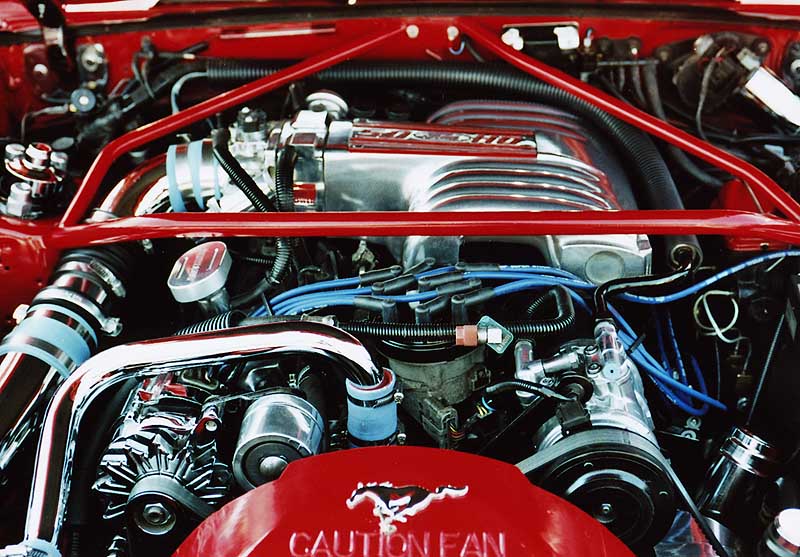 FordMustang08_1_1.jpg