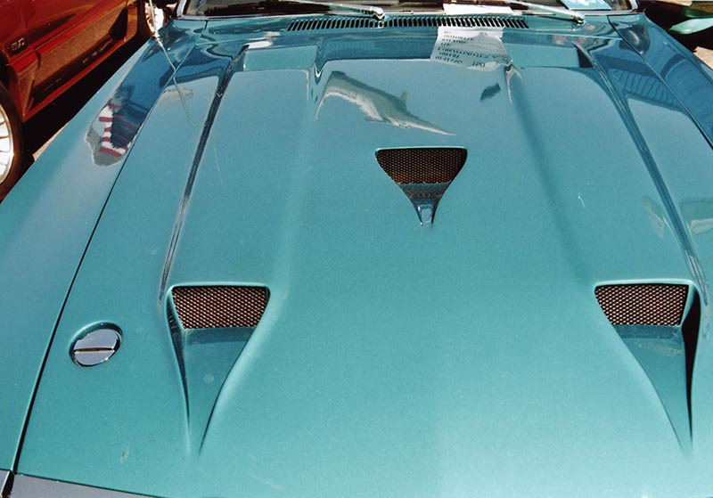 FordMustang08_1_13.jpg