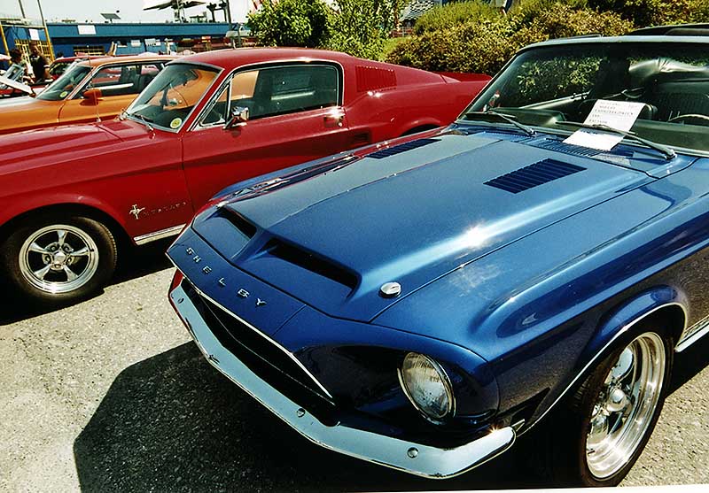 FordMustang08_1_26.jpg