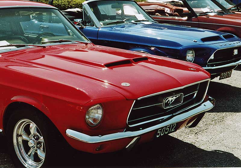 FordMustang08_1_31.jpg