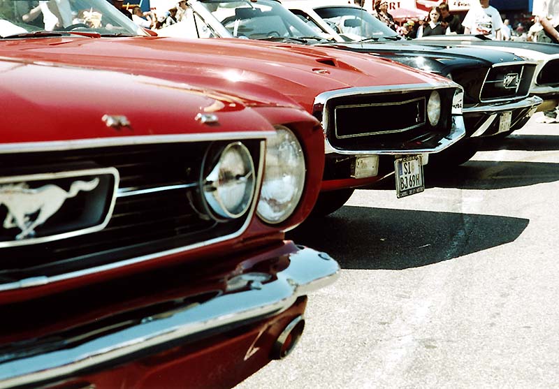 FordMustang08_1_35.jpg