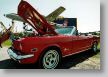 FordMustang08_1_29.jpg