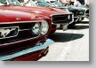 FordMustang08_1_35.jpg