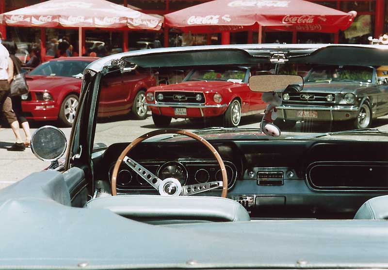 FordMustang08_2_10.jpg
