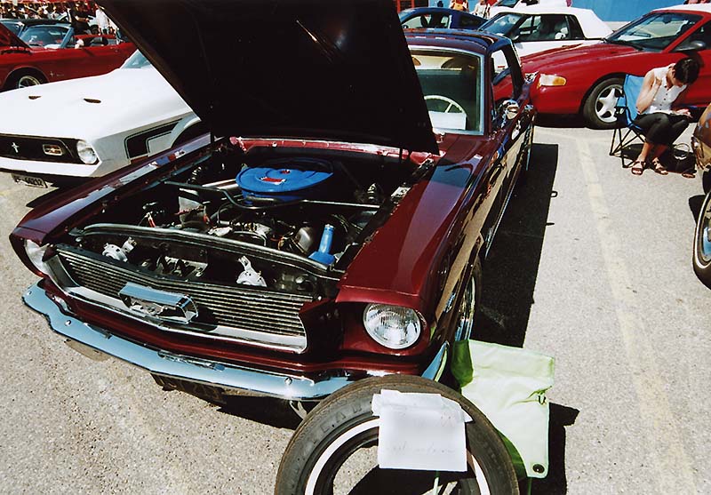 FordMustang08_2_29.jpg