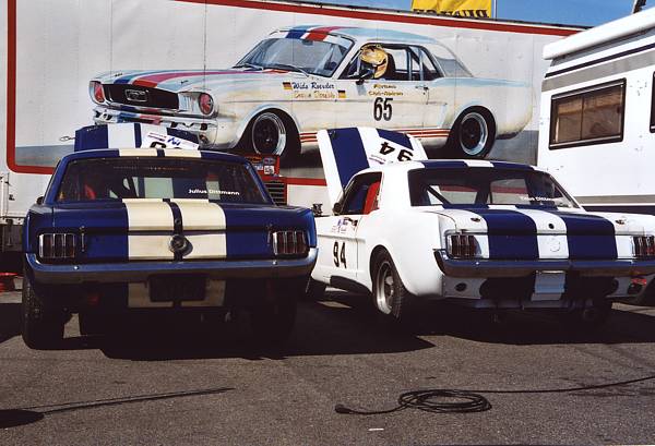Mustangs Dittmann