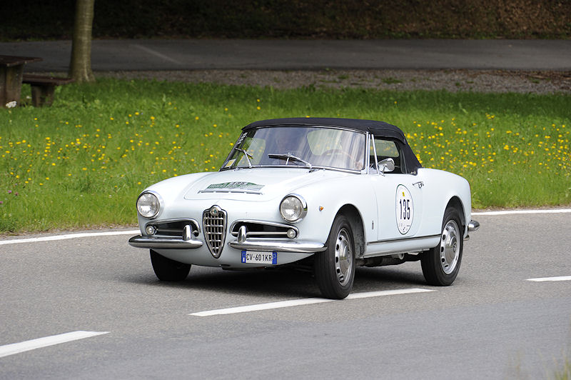 Alfa_135a.jpg
