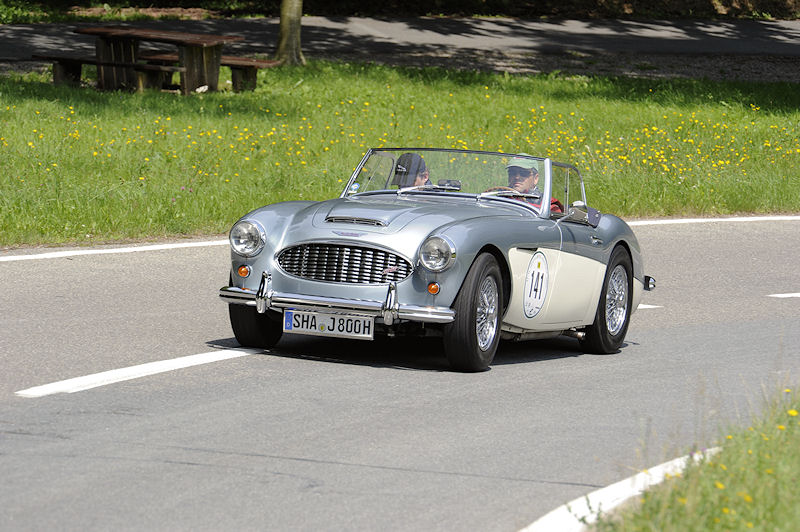 AustinHealey_141a.jpg