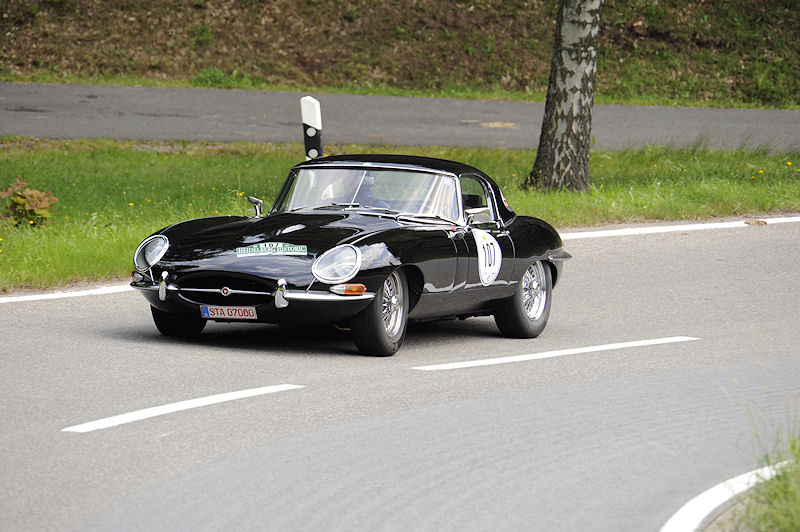Jaguar_107a.jpg
