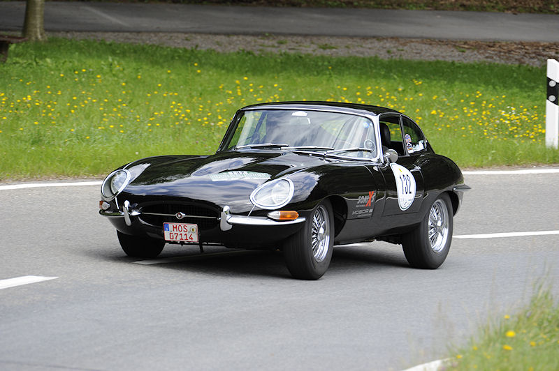 Jaguar_132a.jpg