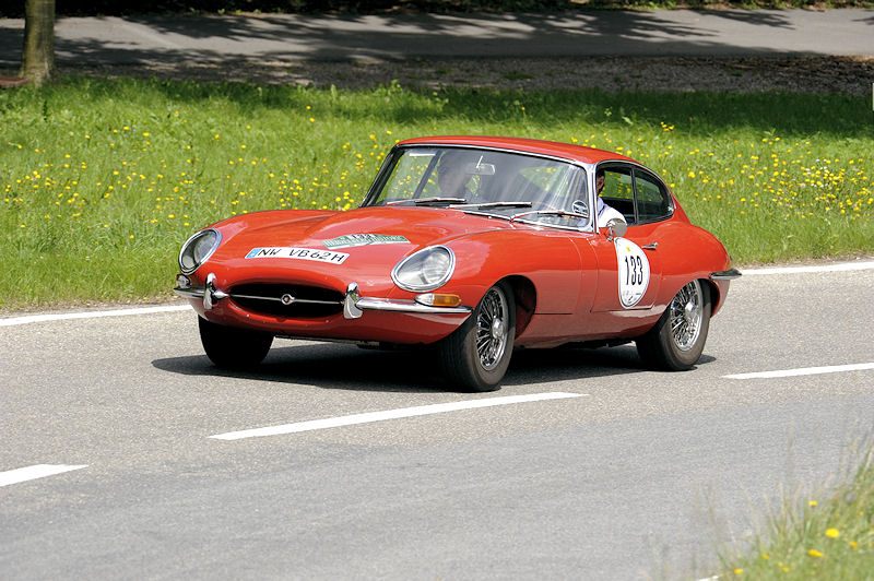 Jaguar_133a.jpg