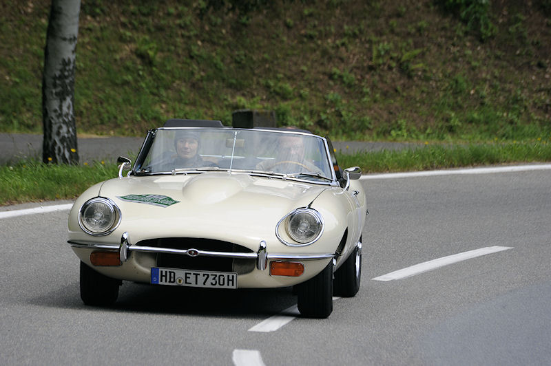 Jaguar_171a.jpg
