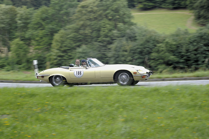 Jaguar_186a.jpg