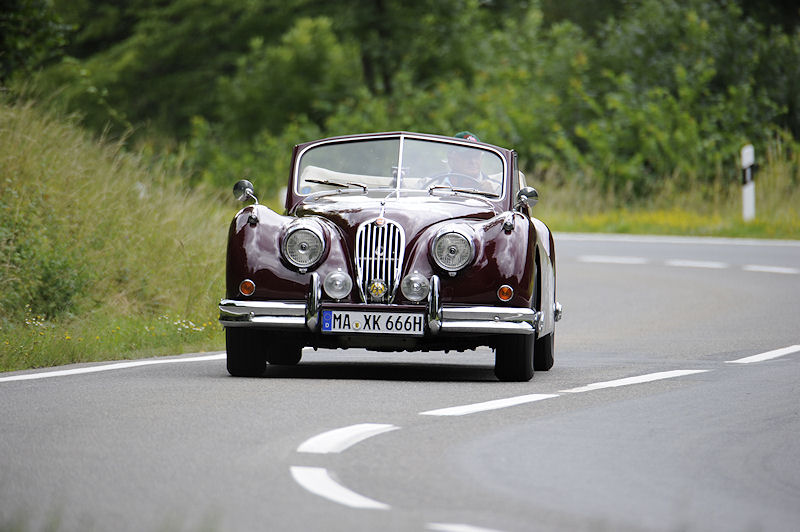 Jaguar_34a.jpg