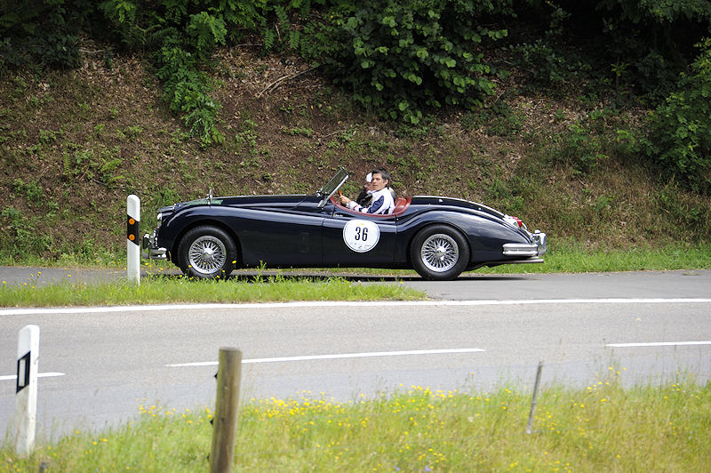 Jaguar_36a.jpg