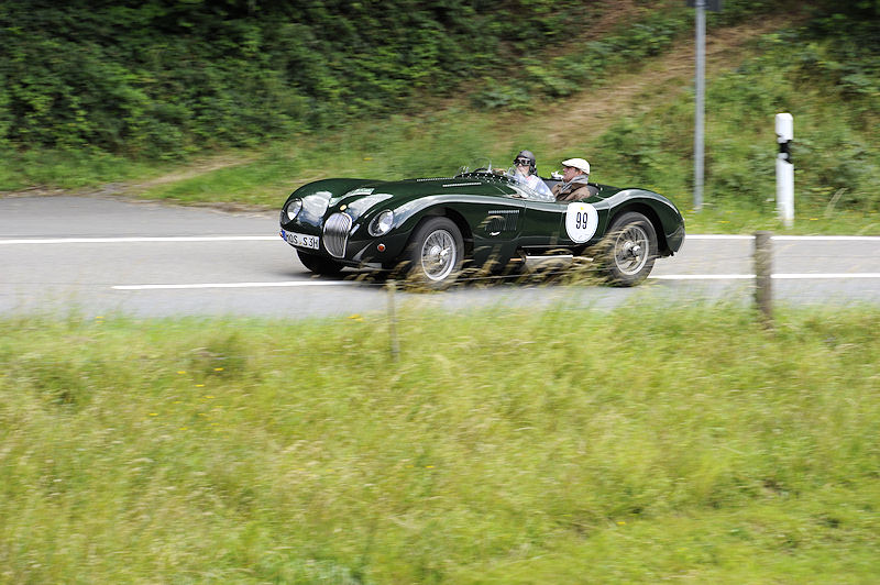 Jaguar_99a.jpg