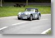AustinHealey_123a.jpg