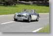 AustinHealey_141a.jpg