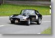 Jaguar_132a.jpg