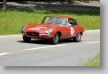 Jaguar_133a.jpg