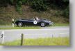 Jaguar_36a.jpg
