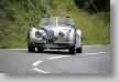 Jaguar_42a.jpg