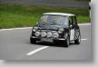 Mini_115a.jpg