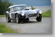 Heidelberg_218_Cobra181a.JPG