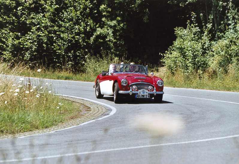 AustinHealey.jpg