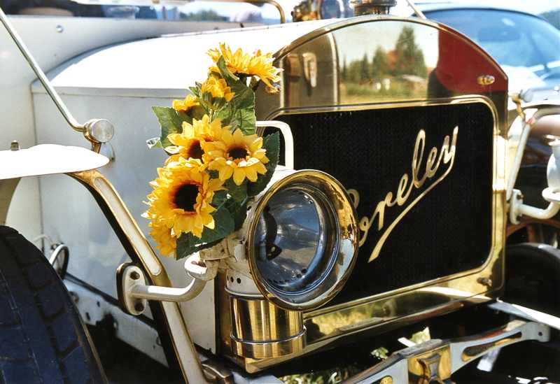 LoreleyBlumen.jpg