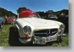 Mercedes190SLSchirm.jpg