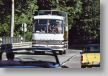 Setra.jpg