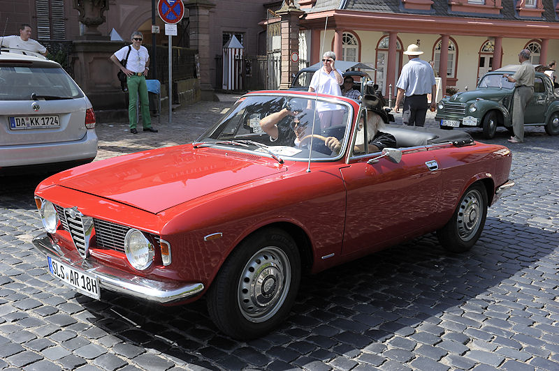 Alfa_110b.jpg