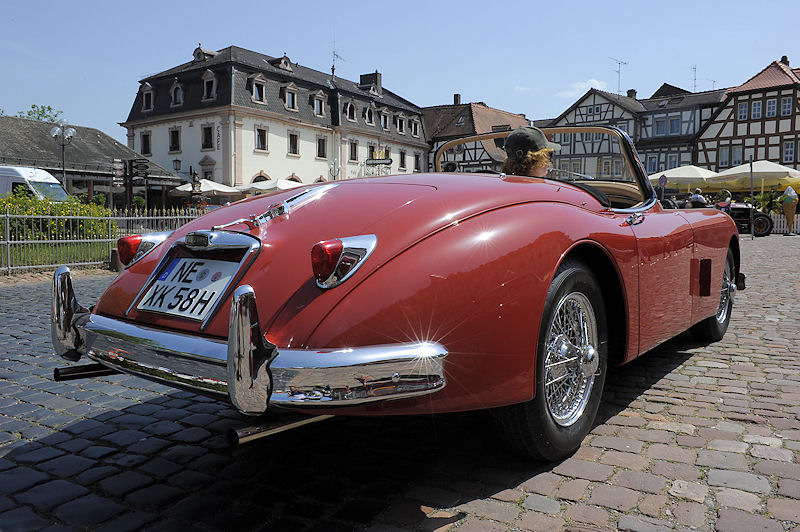Jaguar_158b.jpg
