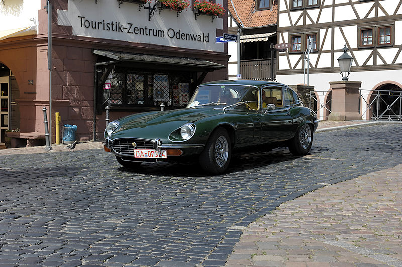Jaguar_189b.jpg