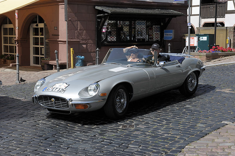 Jaguar_191b.jpg