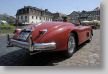 Jaguar_158b.jpg