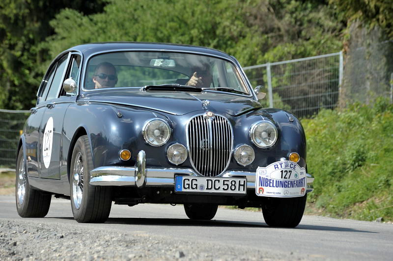 127a_Jaguar.jpg