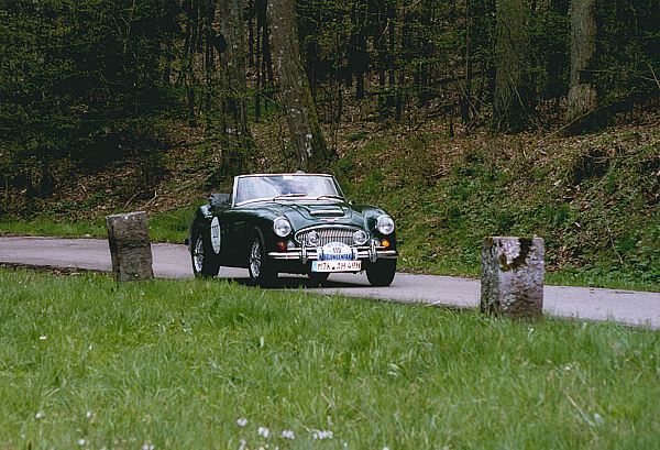 AustinHealey_110.jpg