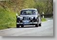 Jaguar_37