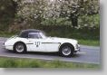 Austin Healey_117