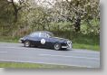 Jaguar_37